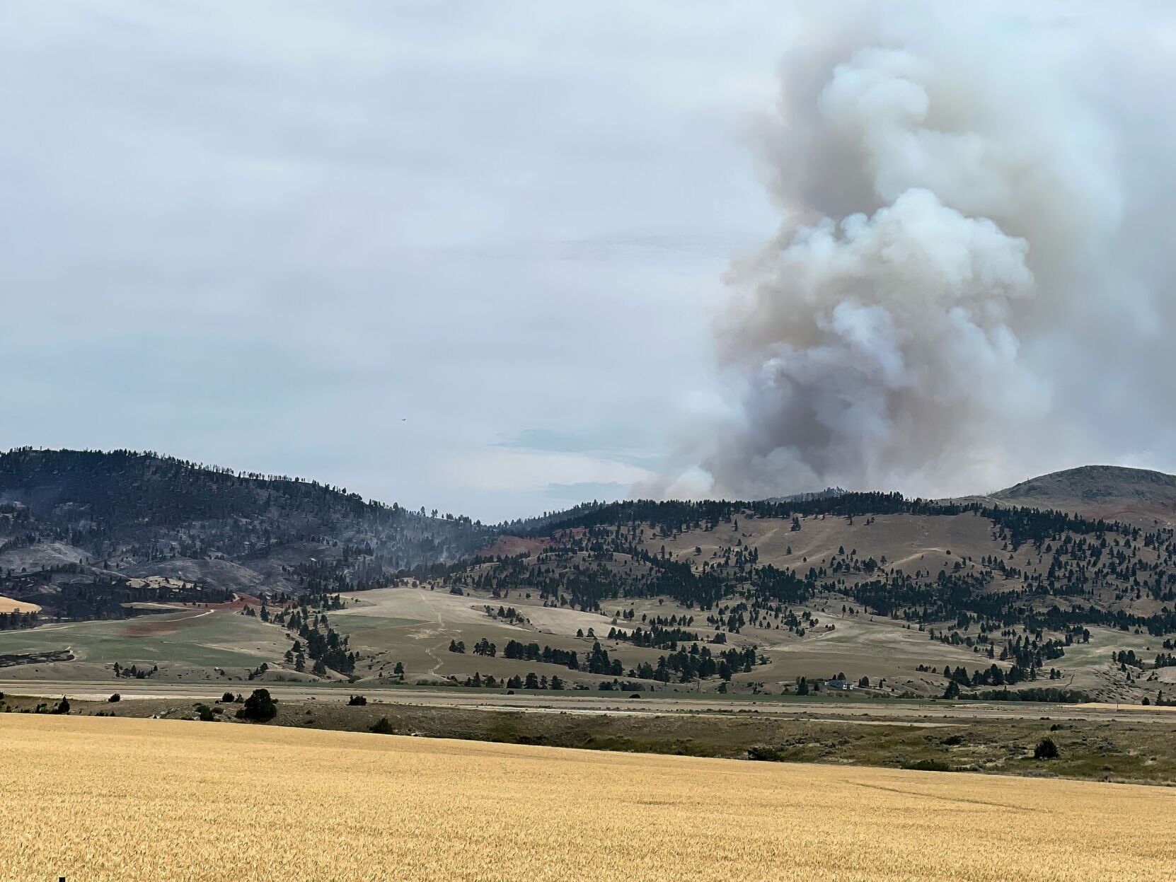 Matt Staff Road fire
